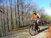 P1050868-800_1_Simone