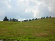 dscn2556g