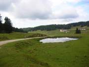 dscn2558g