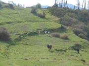 DSCN1643-800