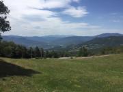 IMG_7834-800