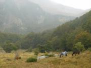DSCN2960-800