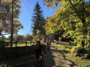 IMG_8285-800