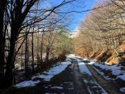IMG_9339-800