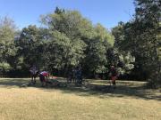 IMG_2566-800