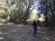 IMG_2568-800