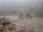 c (12)-800