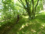 SAM_1853-800