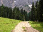 DSCN3190g