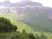 DSCN3024g
