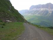 DSCN3031g