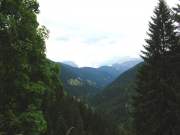 DSCN3065g