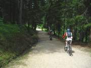 DSCN3084g