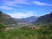 DSCN3289g