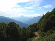 DSCN3296g