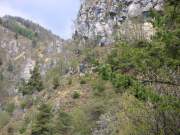 DSCN3719g