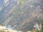 DSCN3777g