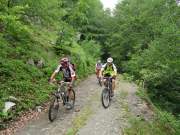 SAM_0227g