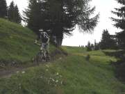 SAM_0337g