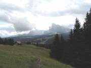 SAM_0343g
