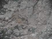 SAM_0374g