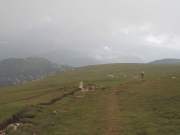 SAM_0397g