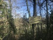 IMG_8379-800
