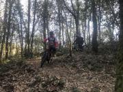 IMG_8394-800