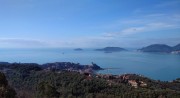 IMG_8431-800B