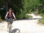 SAM_0433g