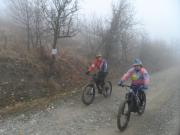 SAM_3009-800
