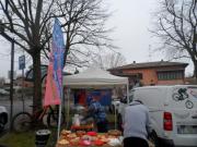 SAM_3017-800